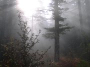 10.28.05 Devil's Rest 068